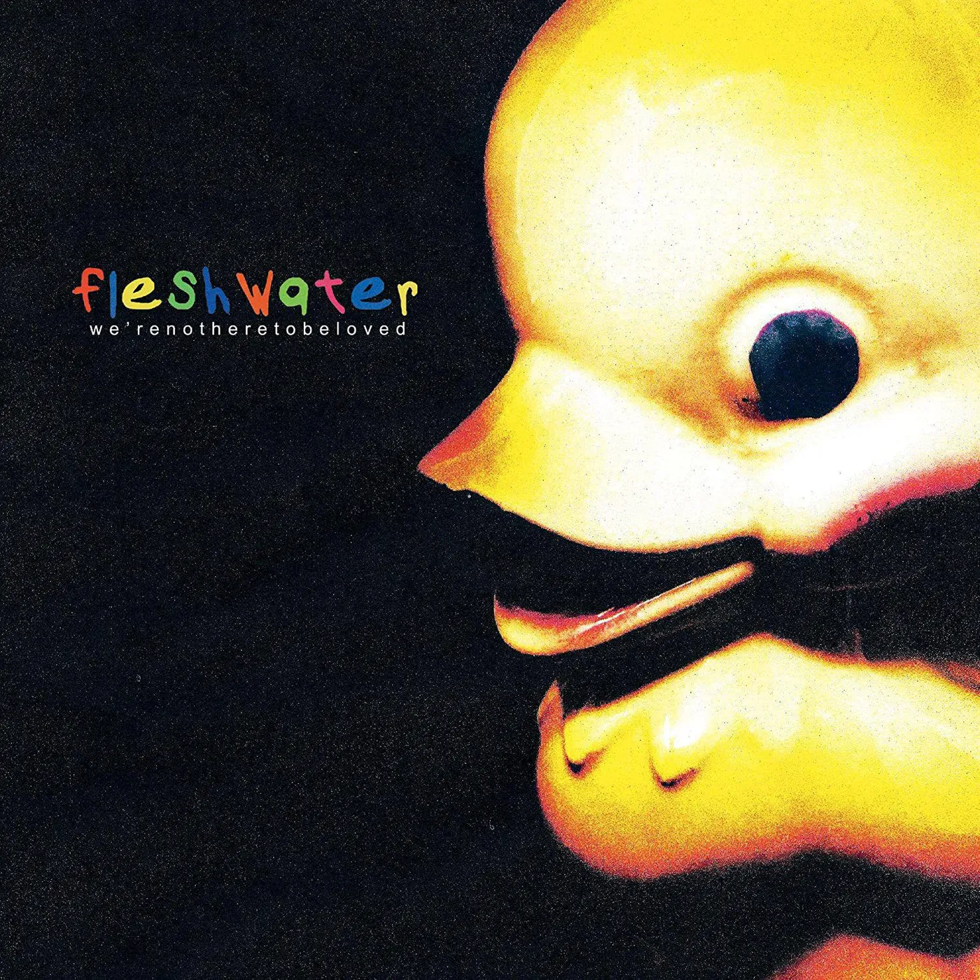 Fleshwater We're Not Here To Be Loved (White & Clear Vinyl) Vinyl Record