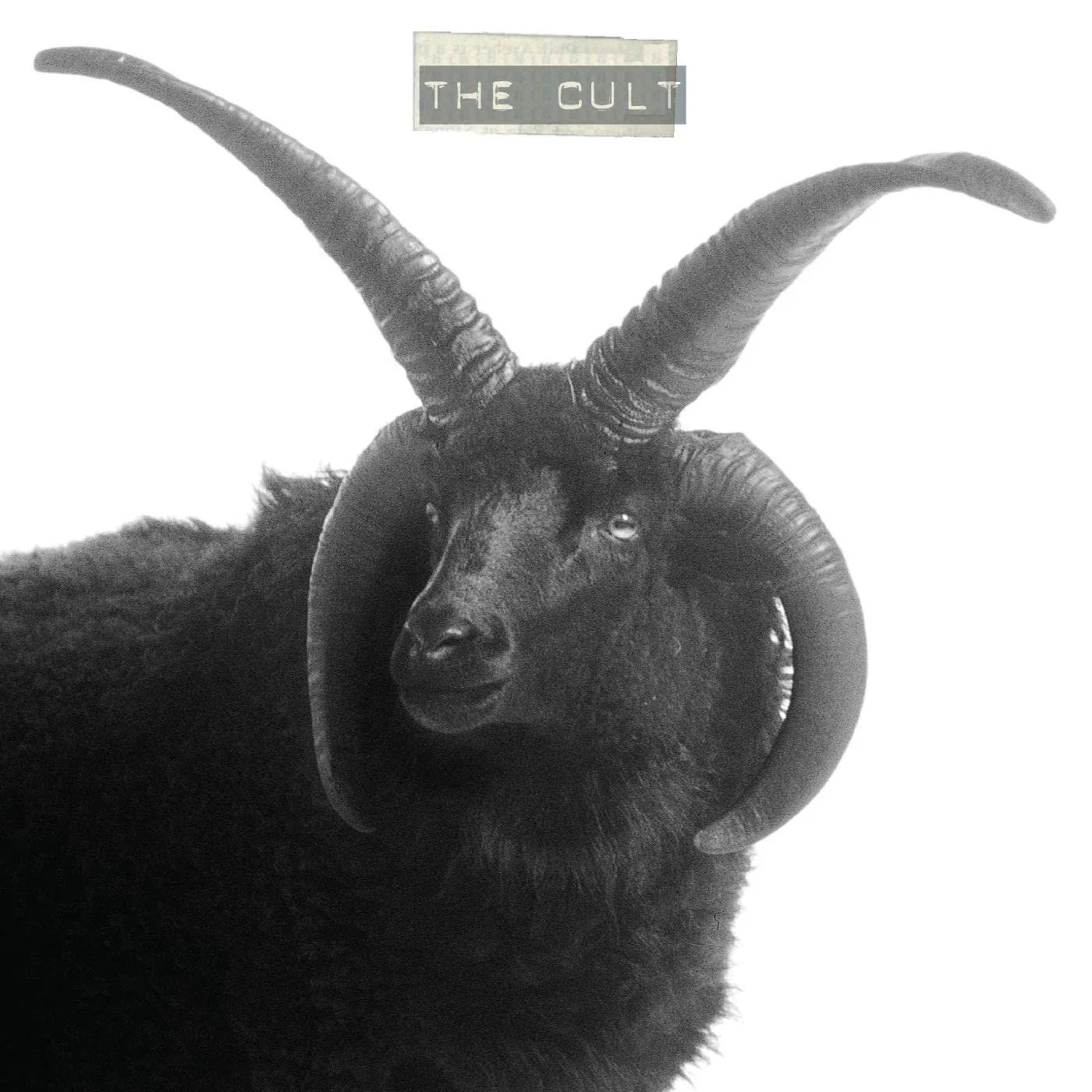 CULT (2LP) Vinyl Record