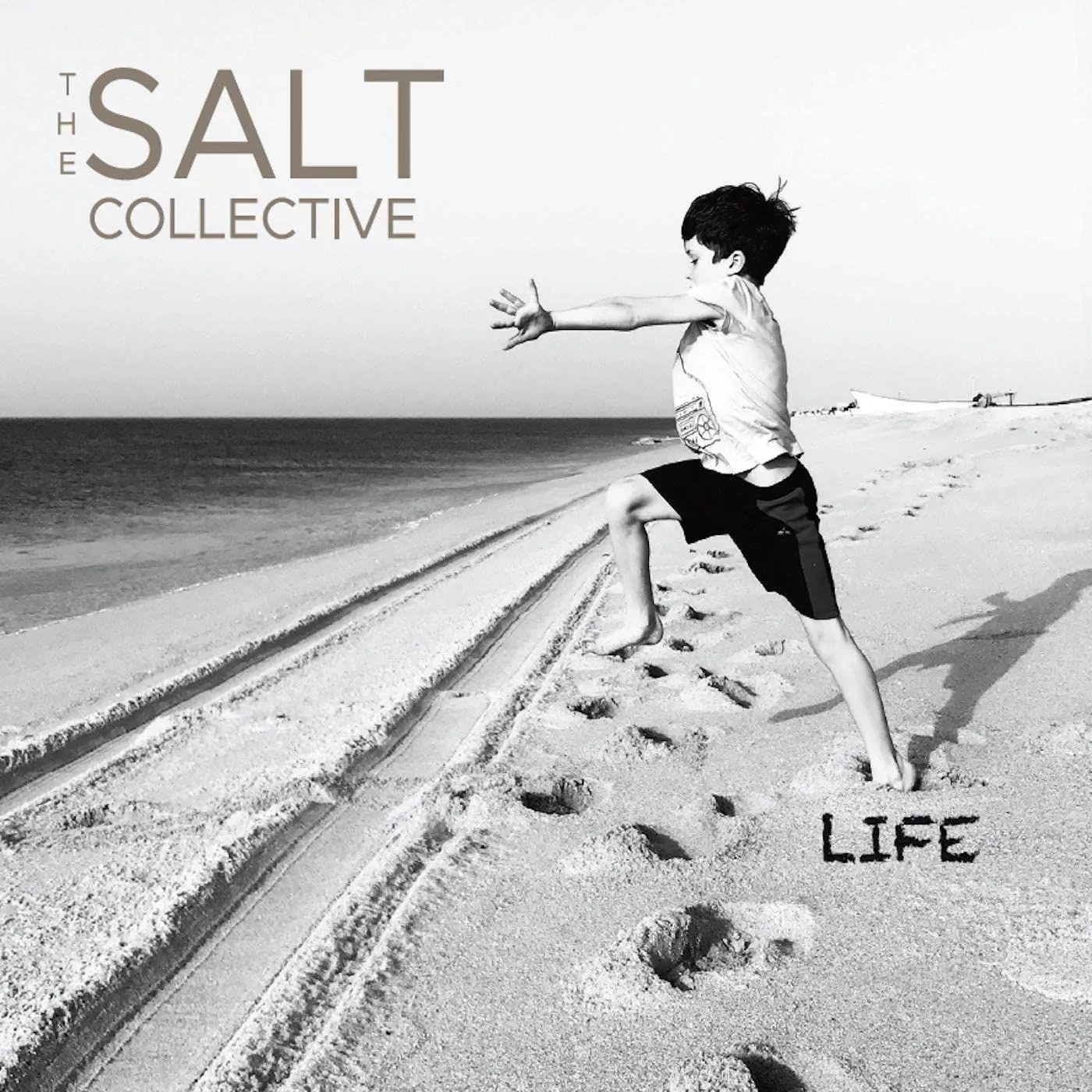 The Salt Collective Life (VIOLET SWIRL) Vinyl Record