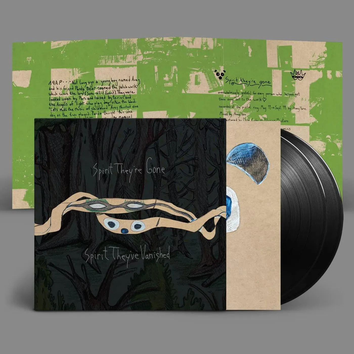 Animal Collective SPIRIT THEY'RE GONE, SPIRIT THEY'VE VANISHED (2LP) Vinyl Record