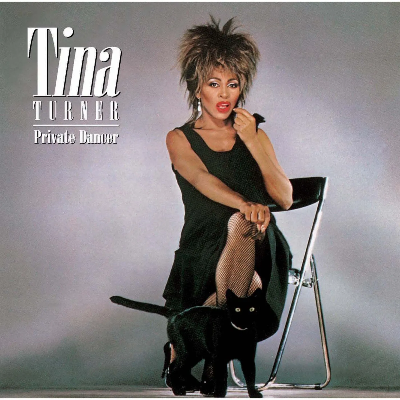 Tina Turner Private Dancer (30th Anniversary Edition) Vinyl Record