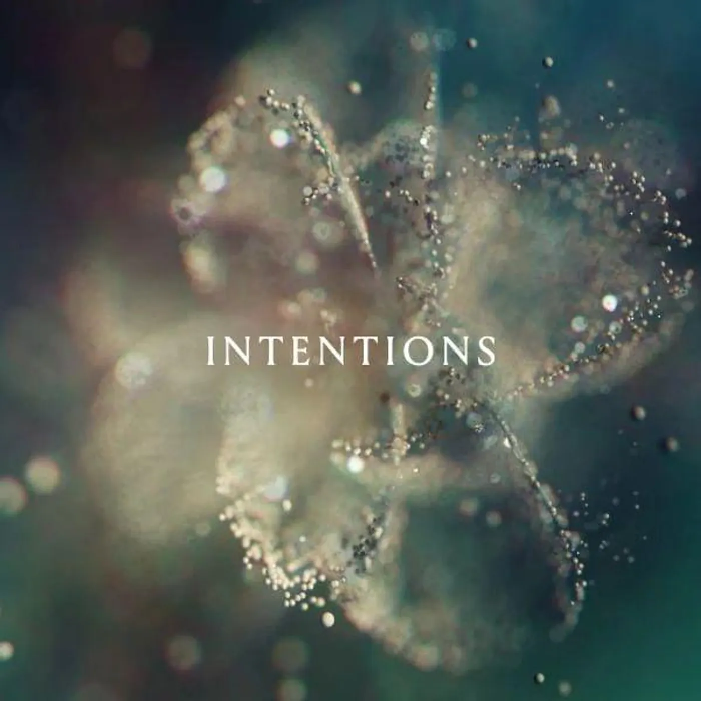 ANNA  Intentions (2lp) Vinyl Record