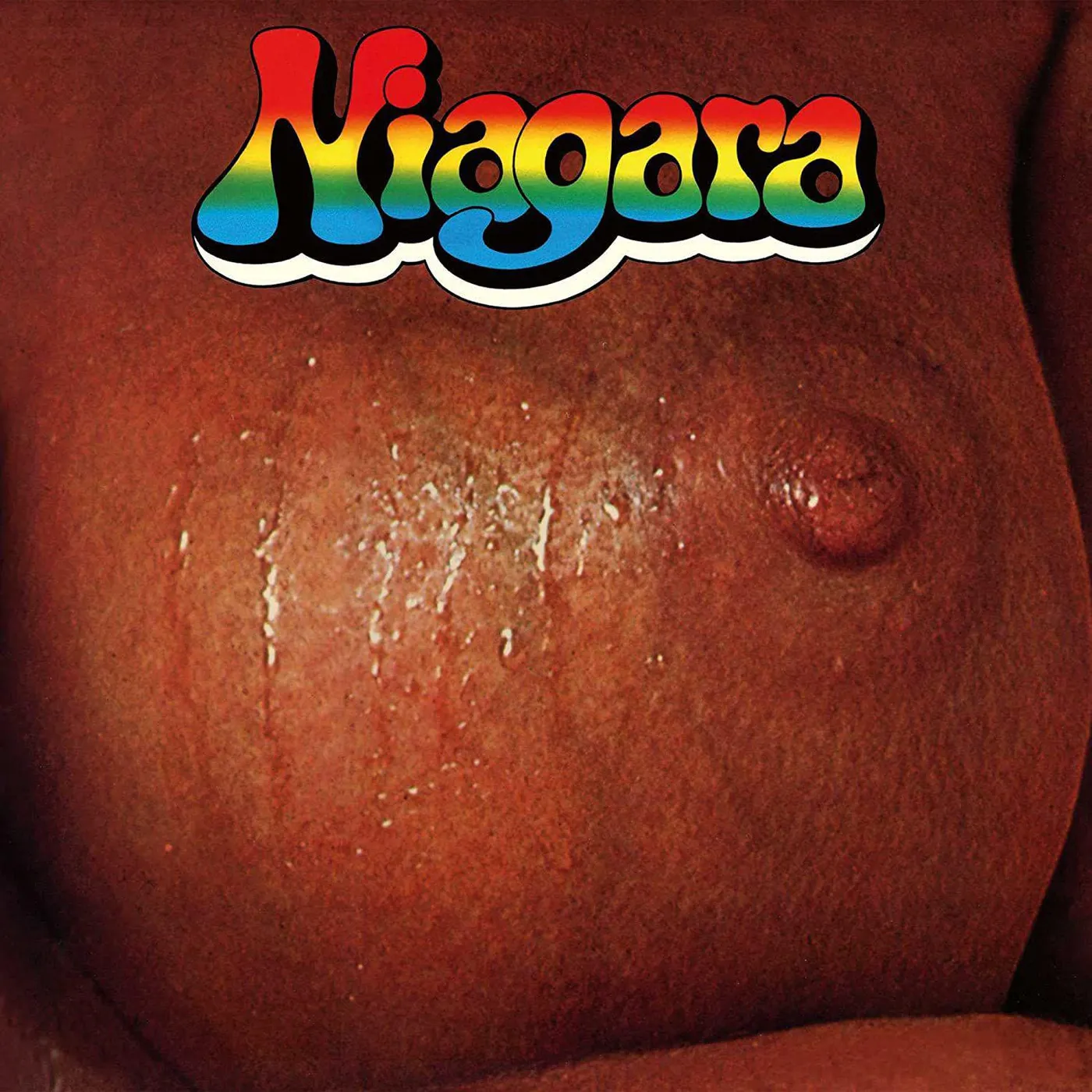  Niagara S/T Vinyl Record