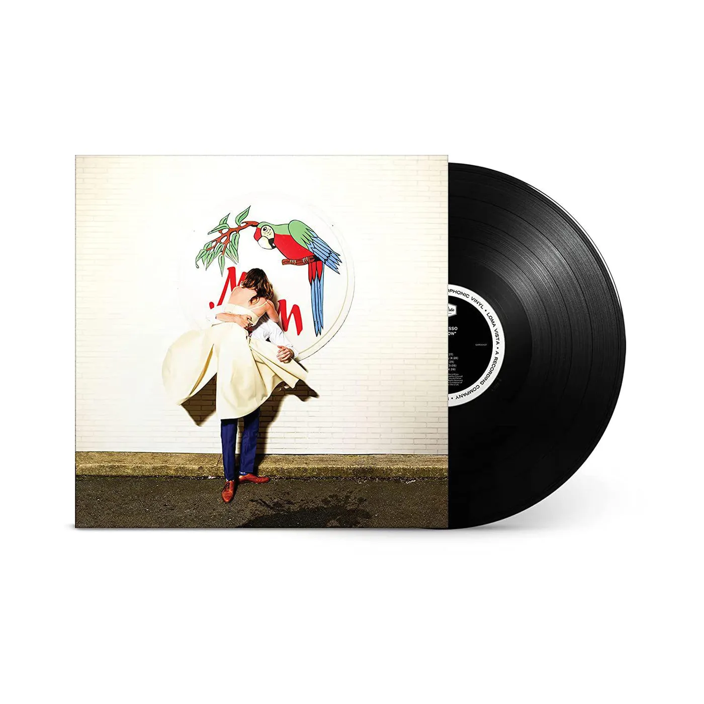 Sylvan Esso What Now Vinyl Record
