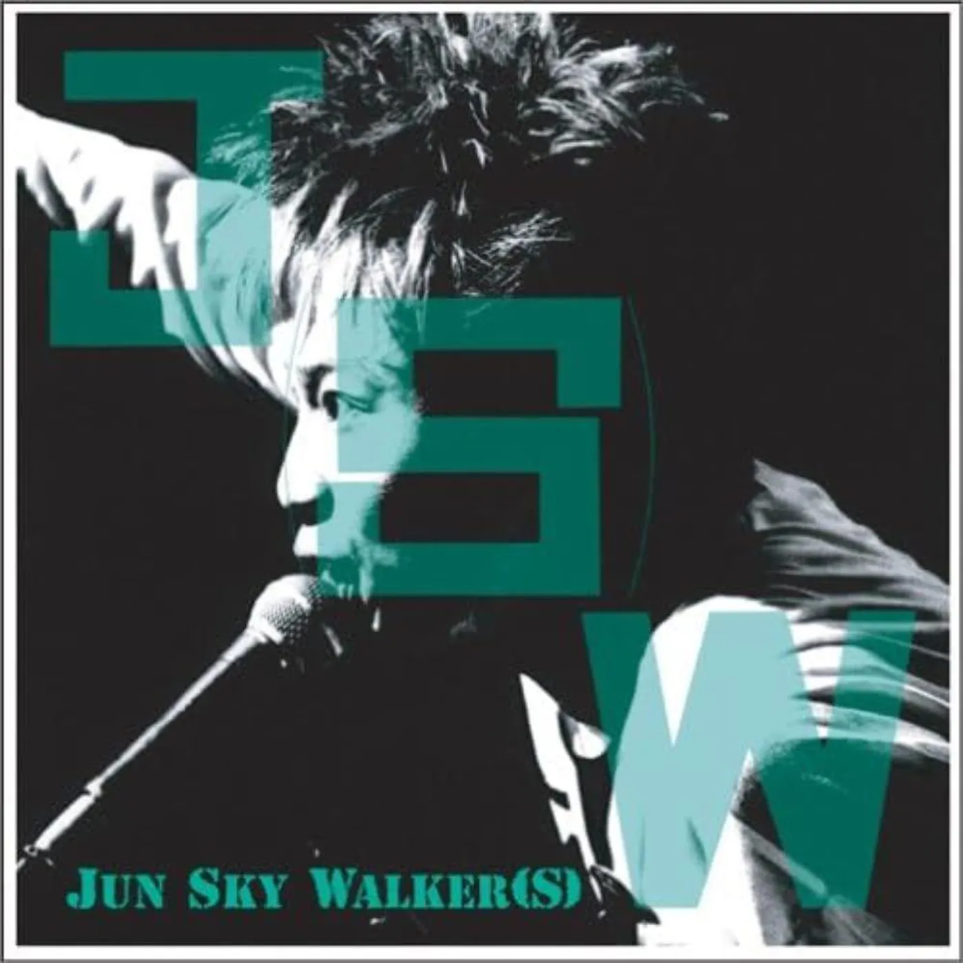 Jun Sky Walker J(S)W Vinyl Record