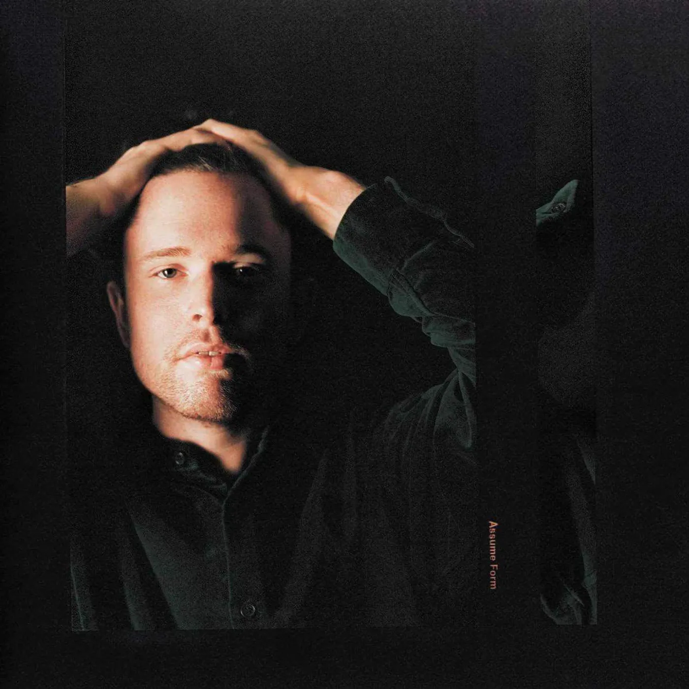 James Blake ASSUME FORM (2LP) Vinyl Record