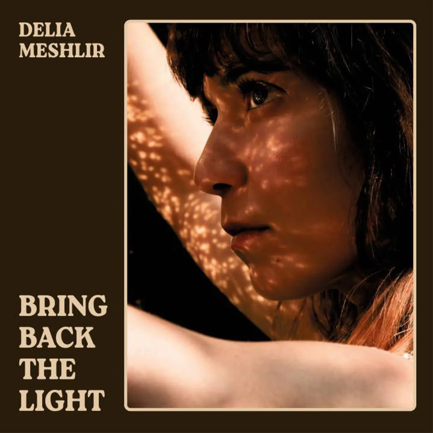 Delia Meshlir BRING BACK THE LIGHT Vinyl Record
