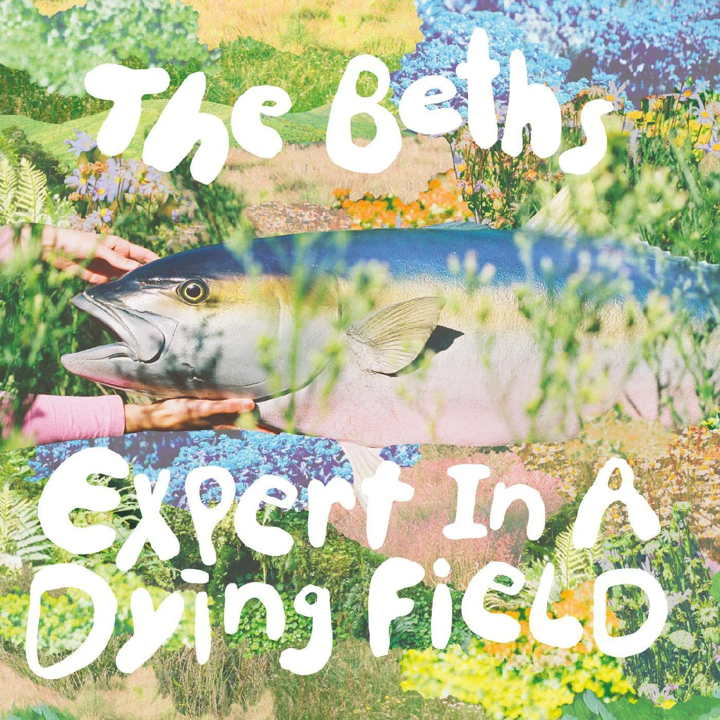The Beths Expert In A Dying Field (Evergreen) Vinyl Record