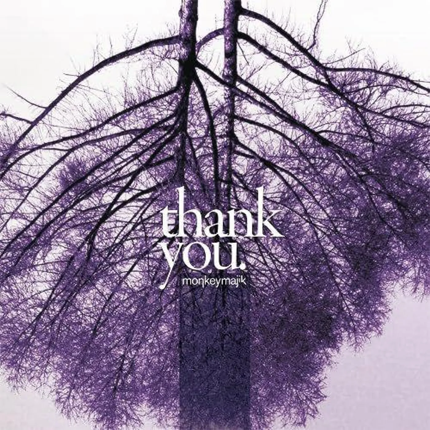 Monkey Majik Thank You Vinyl Record