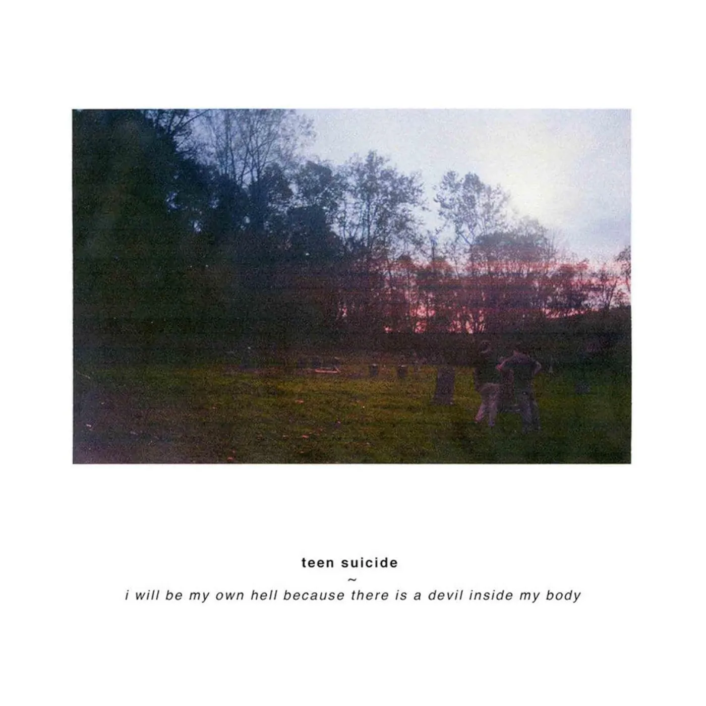 Teen Suicide I Will Be My Own Hell Because There Is A Devil Inside My Body (Pink) Vinyl Record