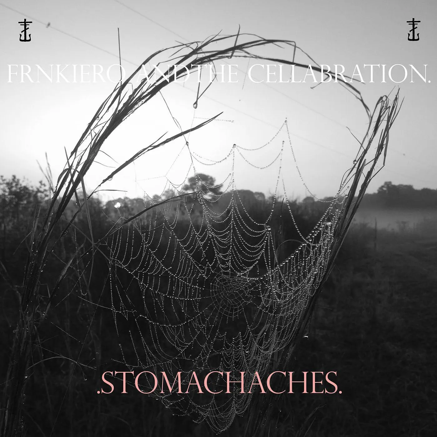 Frnkiero & The Cellabration STOMACHACHES (X) Vinyl Record