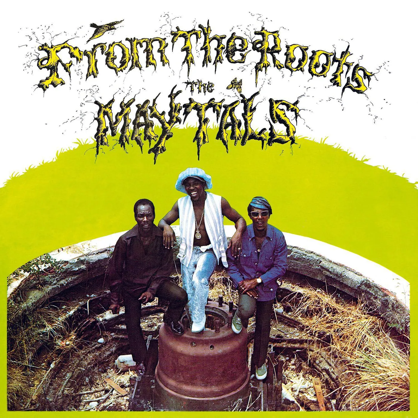 The Maytals From The Roots (Yellow & Translucent Green Marbled Vinyl Record/180g)