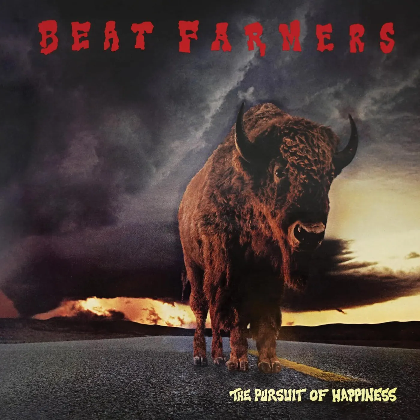 The Beat Farmers Pursuit Of Happiness Vinyl Record