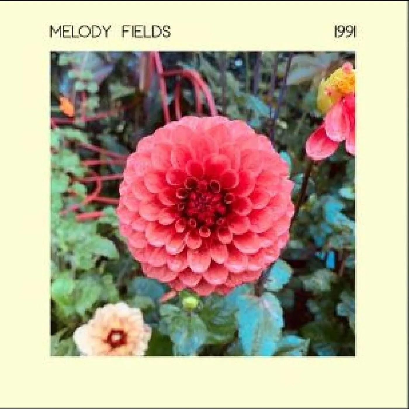 Melody Fields 1991 Vinyl Record