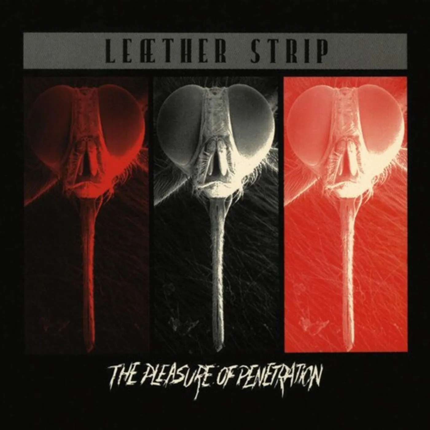 Leather Strip Pleasure Of Penetration (Red) Vinyl Record