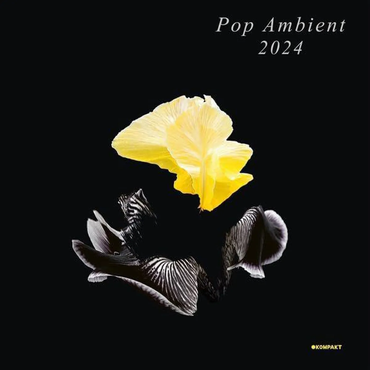 Various Artists  Pop Ambient 2024 Vinyl Record