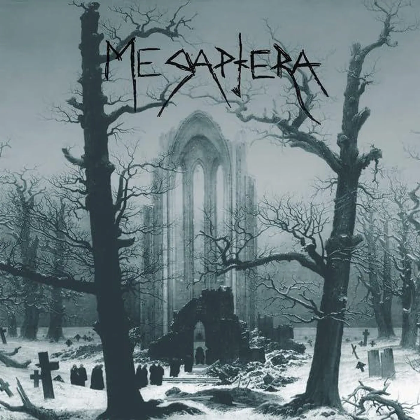 Megaptera Near Death Vinyl Record