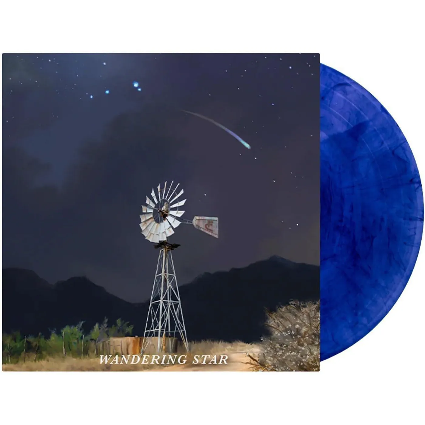Flatland Cavalry Wandering Star (Standard Dark Water/Black Swirl) Vinyl Record