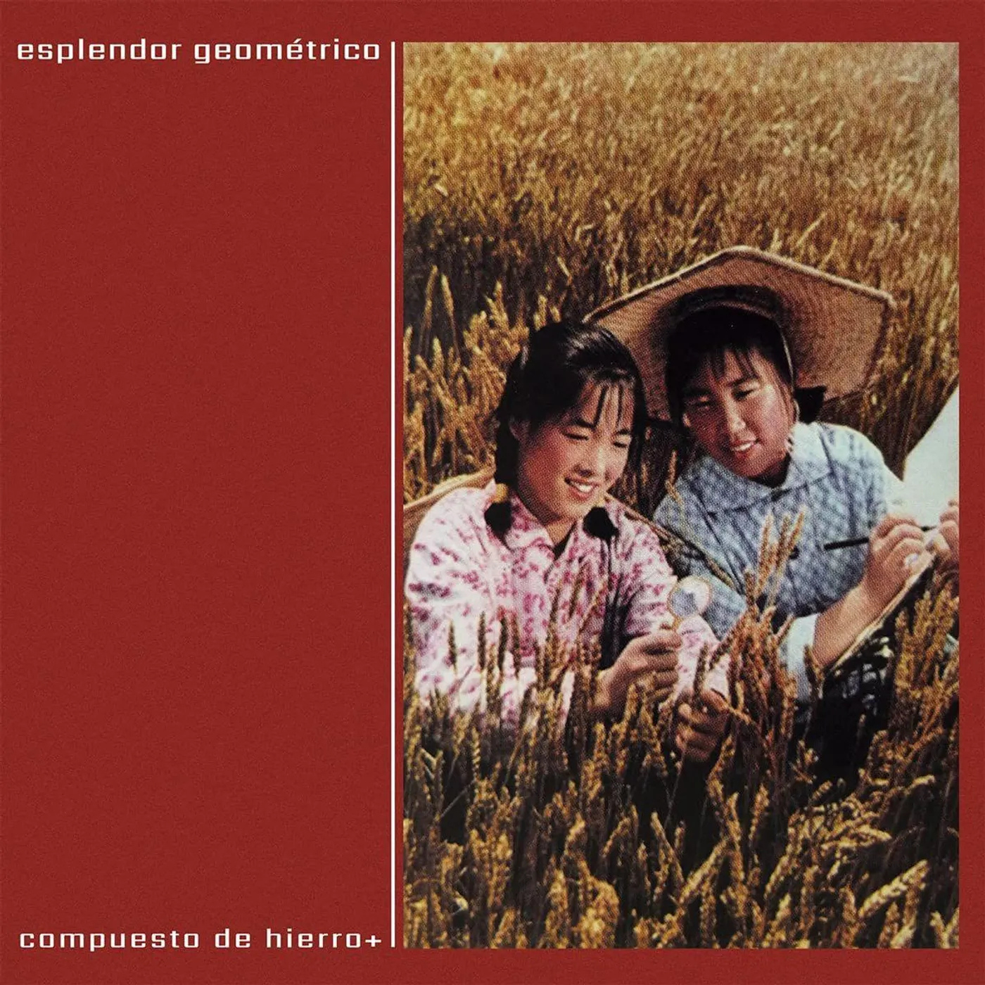 Esplendor Geométrico Compuesto De Hierro (2LP) Vinyl Record