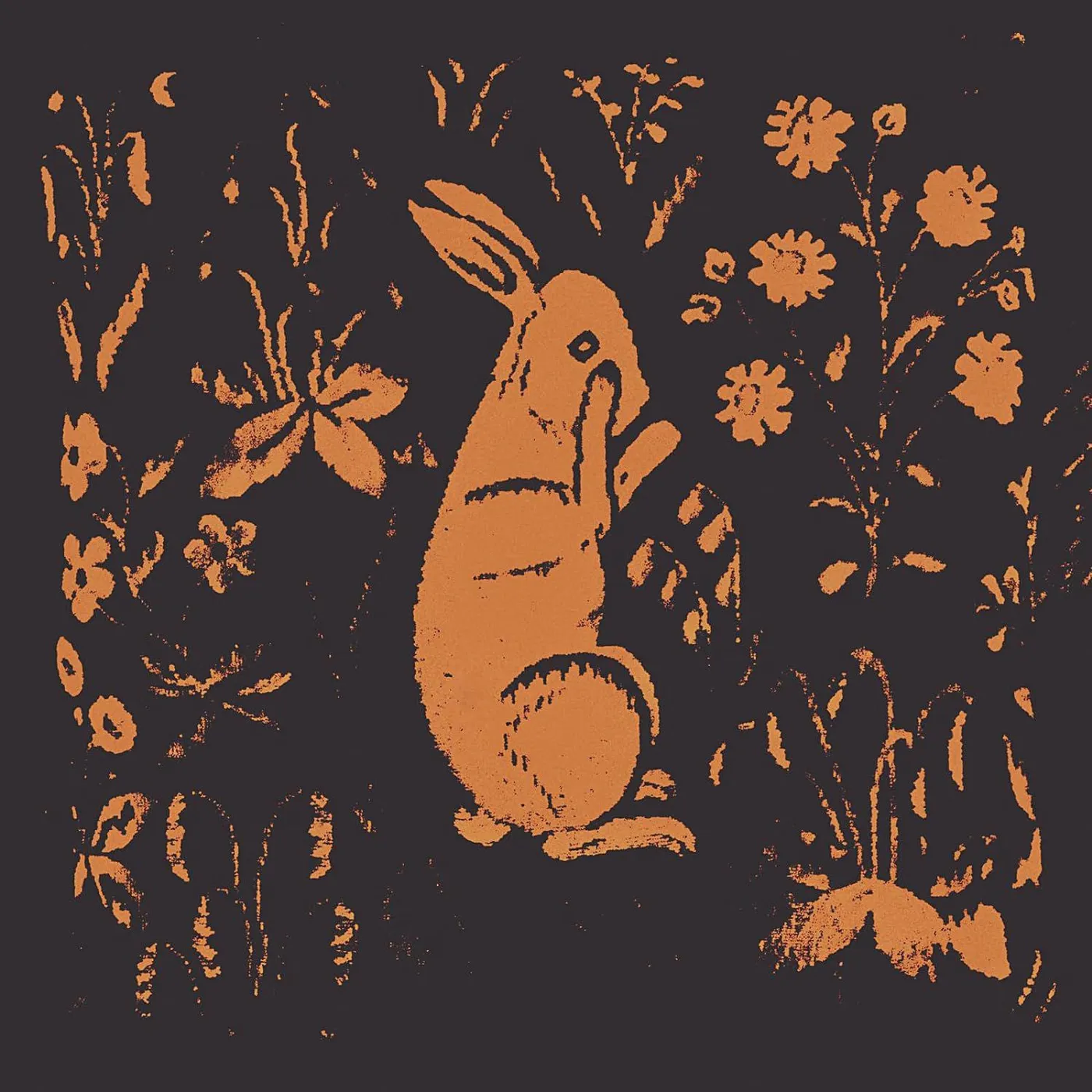Sadness Rabbit Album Vinyl Record