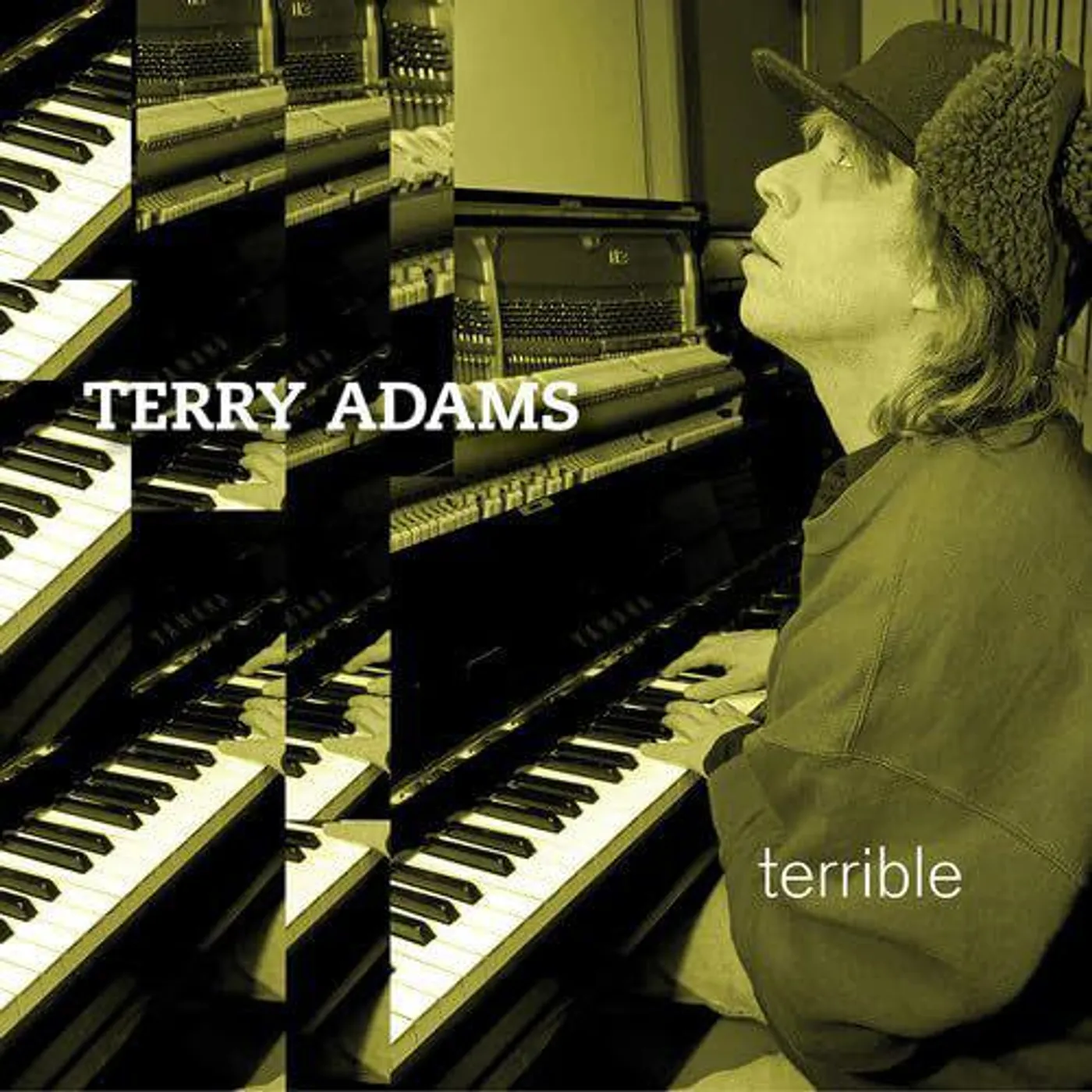 Terry Adams Terrible (2LP) Vinyl Record