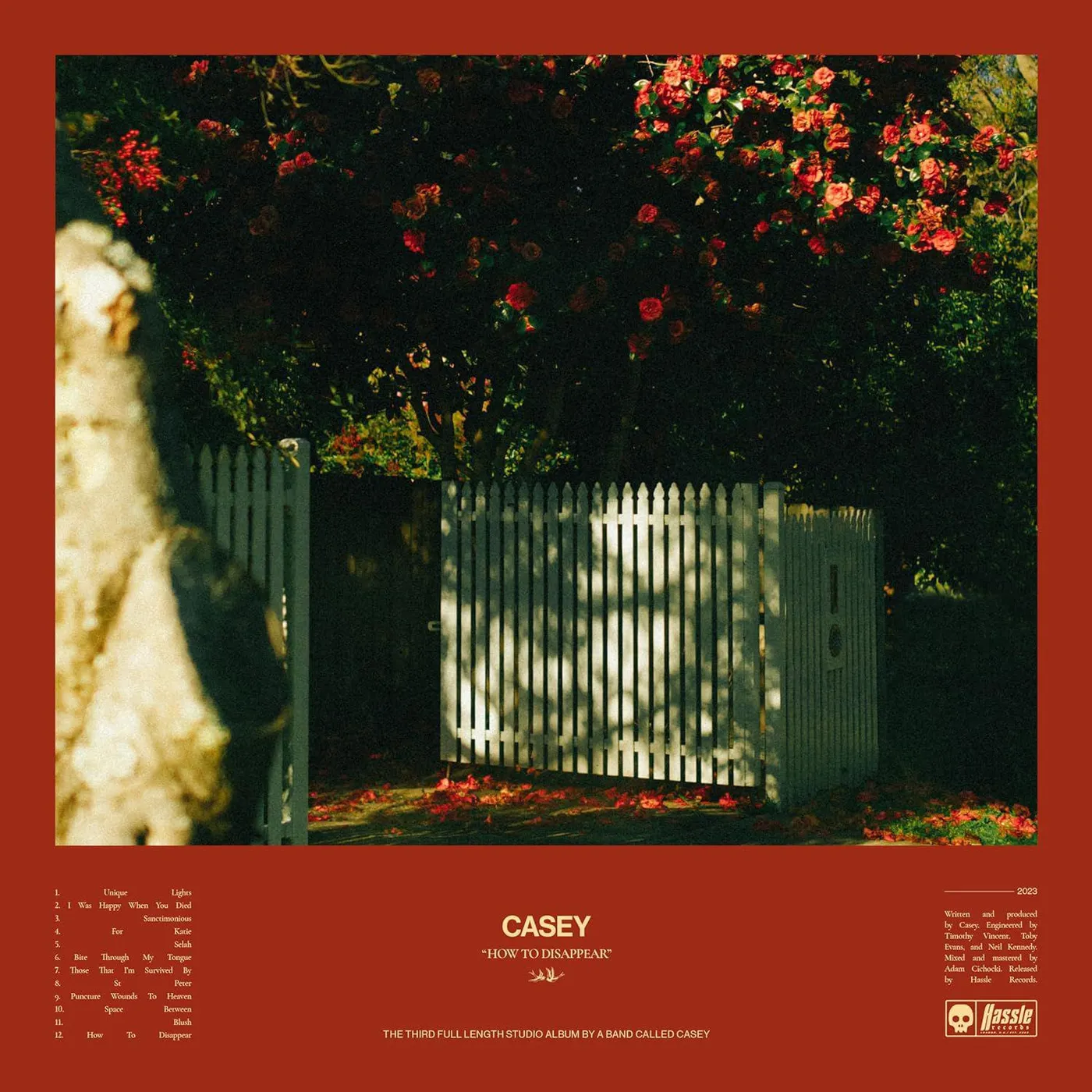 Casey How To Disappear (Golden Pearl Marble Vinyl Record)