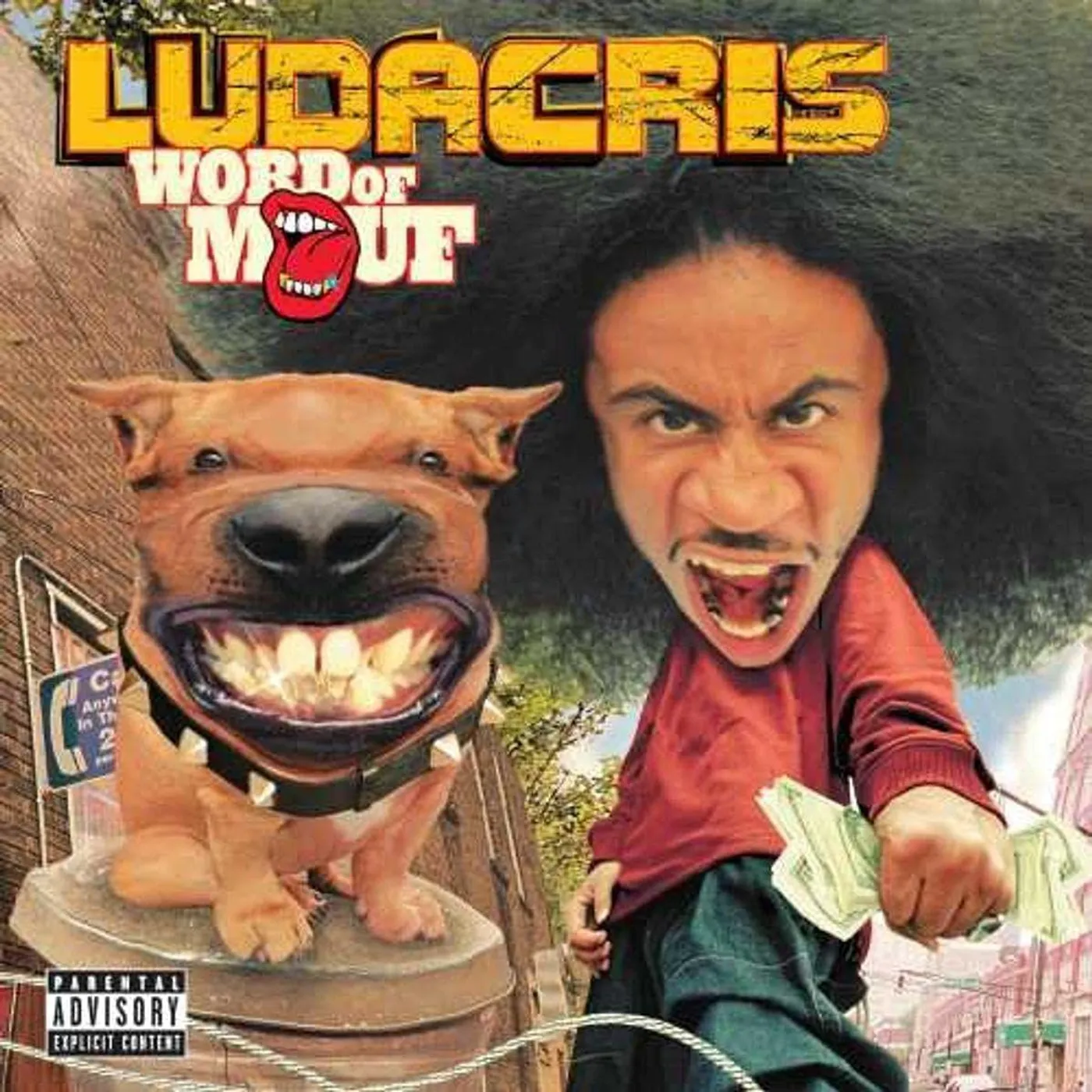 Ludacris Word Of Mouf (Explicit Content) (Colored) Vinyl Record