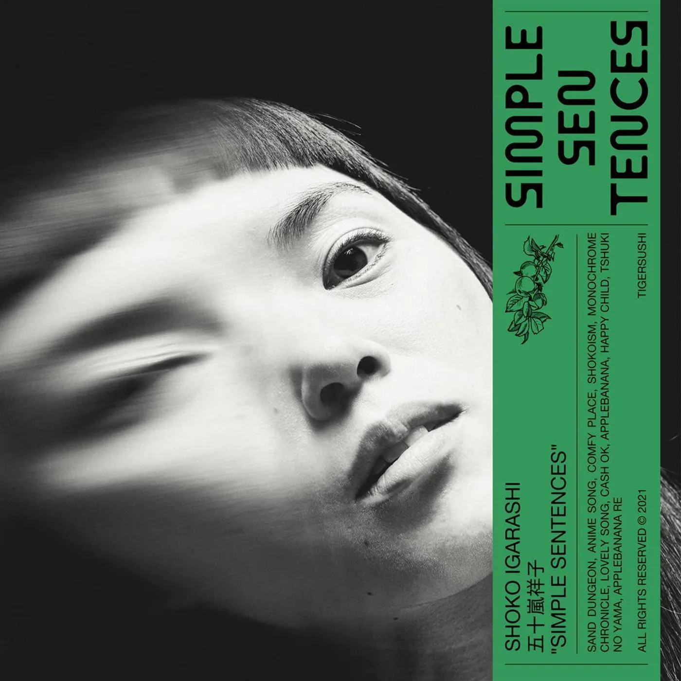 Shoko Igarashi Simple Sentences Vinyl Record