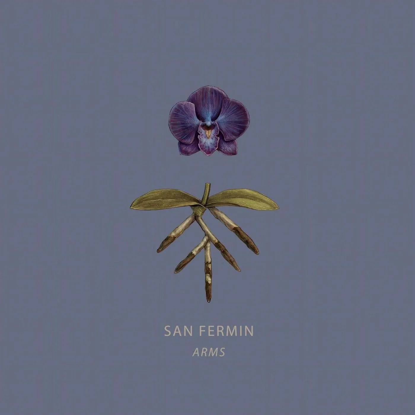 San Fermin ARMS Vinyl Record