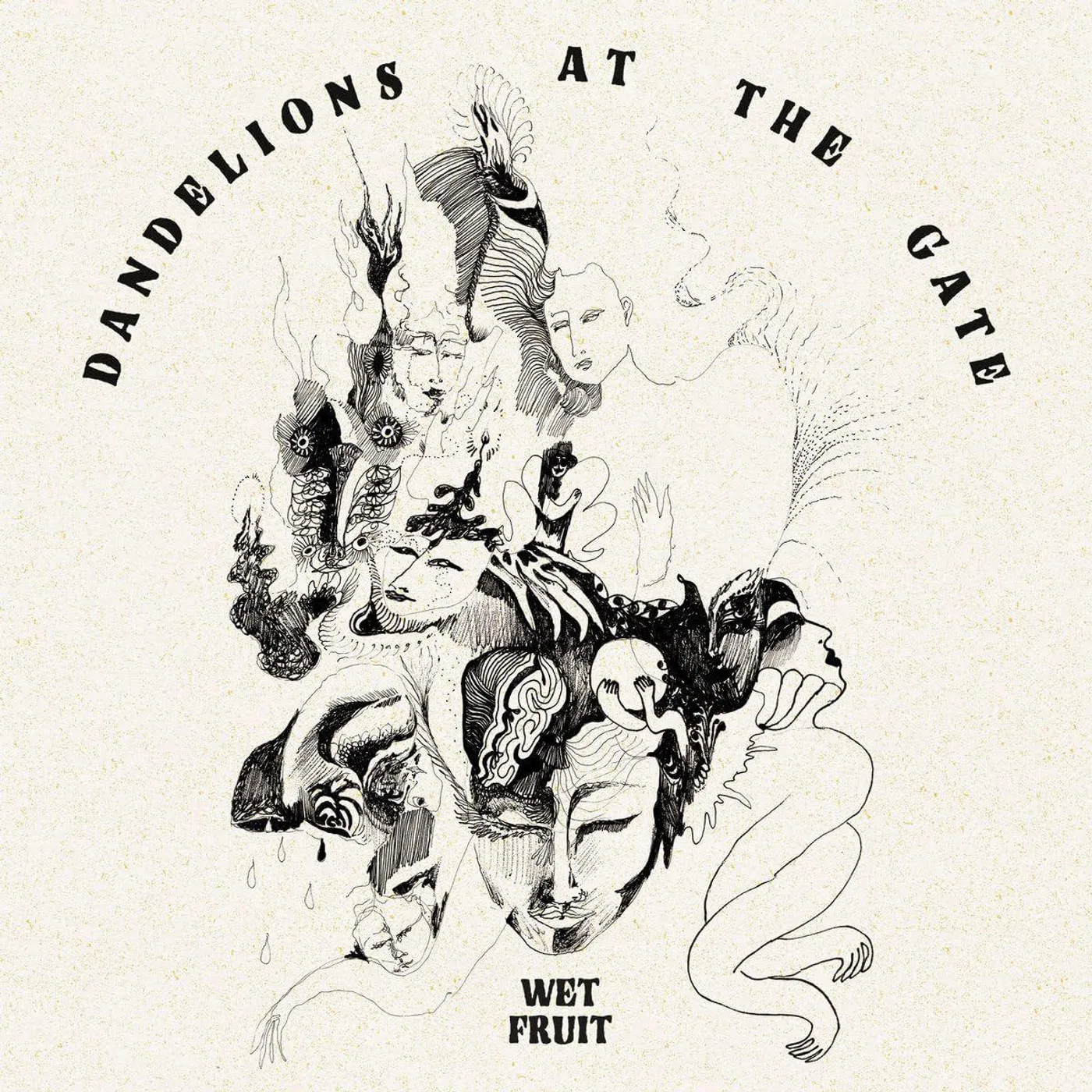Wet Fruit Dandelions At The Gate Vinyl Record