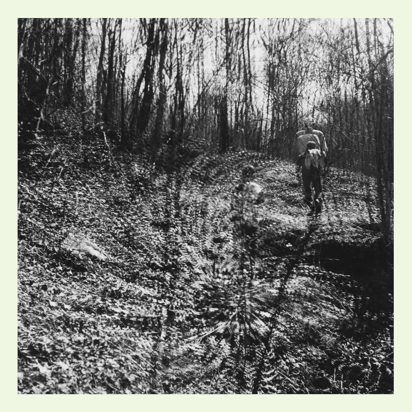 topographies Interior Spring Vinyl Record