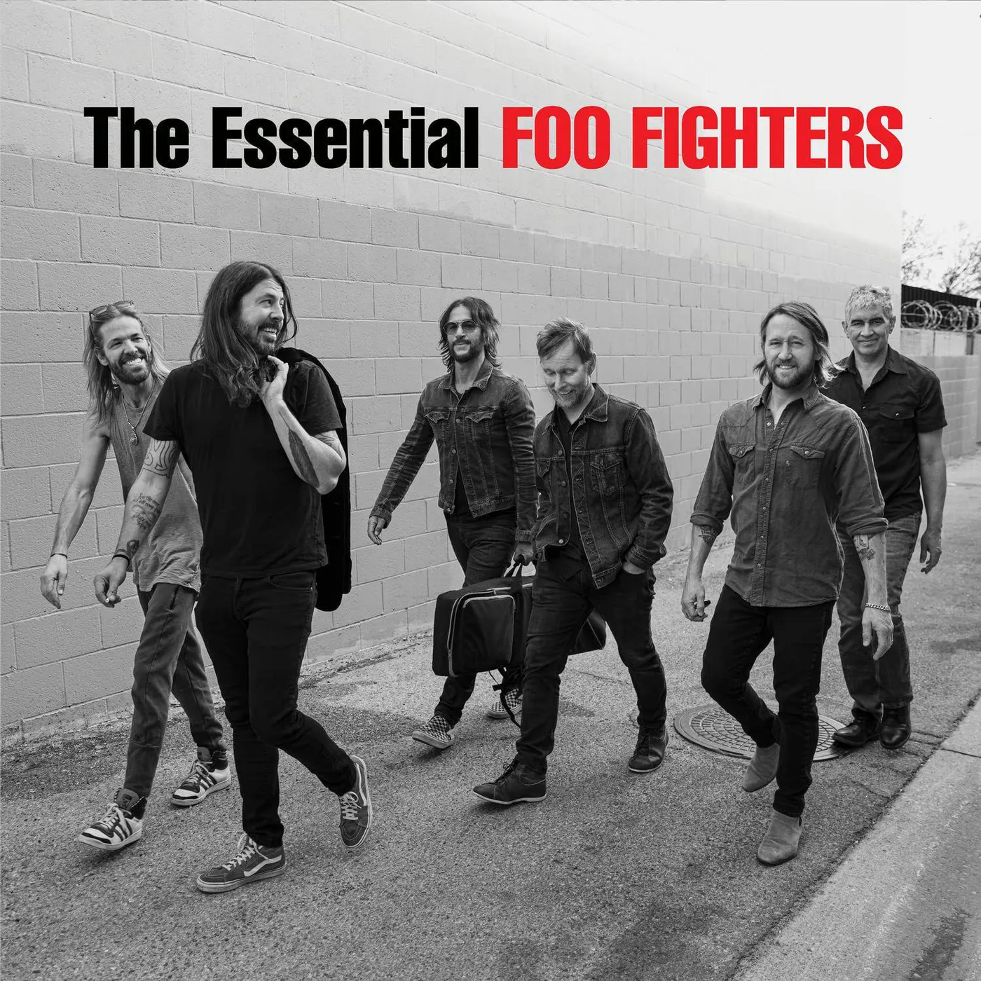 Essential Foo Fighters (2LP) Vinyl Record