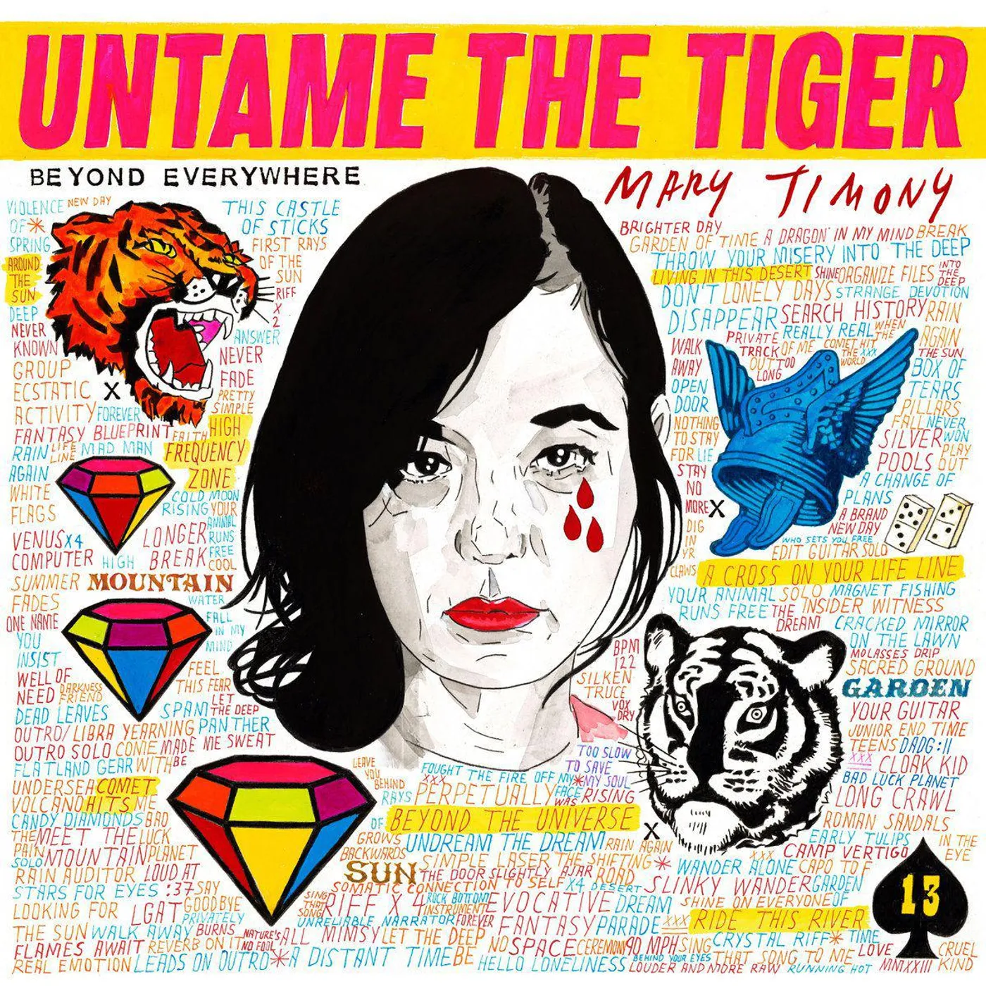 Mary Timony Untame The Tiger Vinyl Record