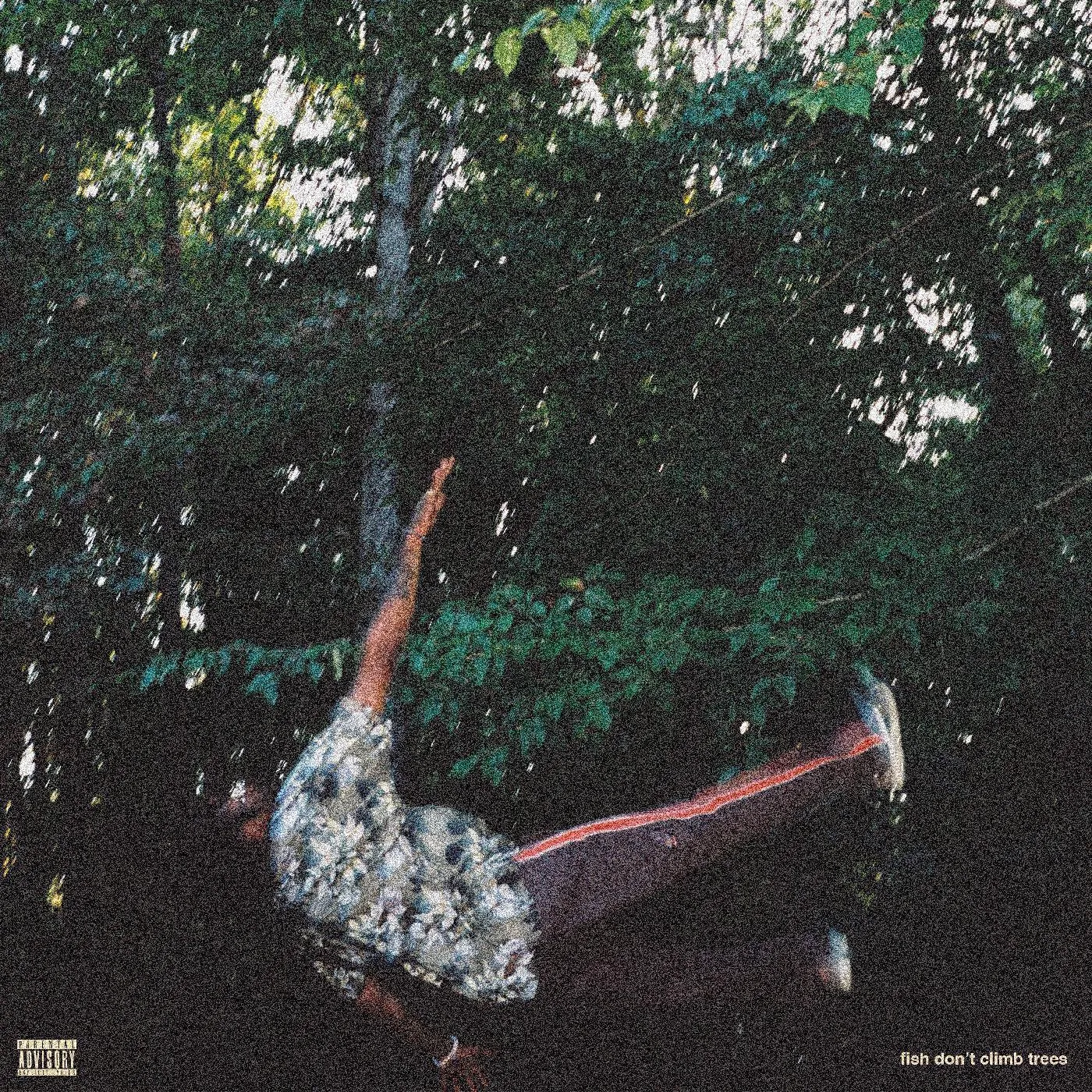 Chester Watson Fish Don't Climb Trees Vinyl Record