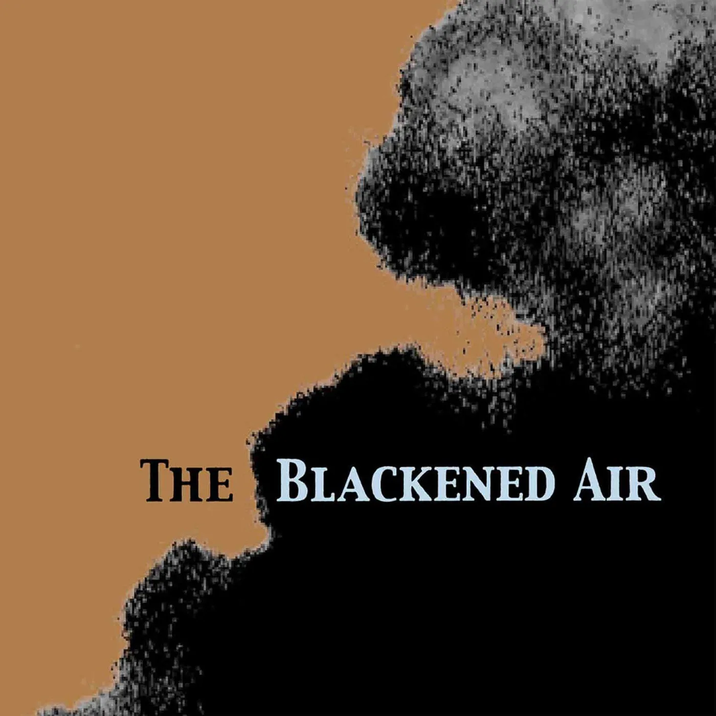 Nina Nastasia Blackened Air (Clear Vinyl/180G) Vinyl Record