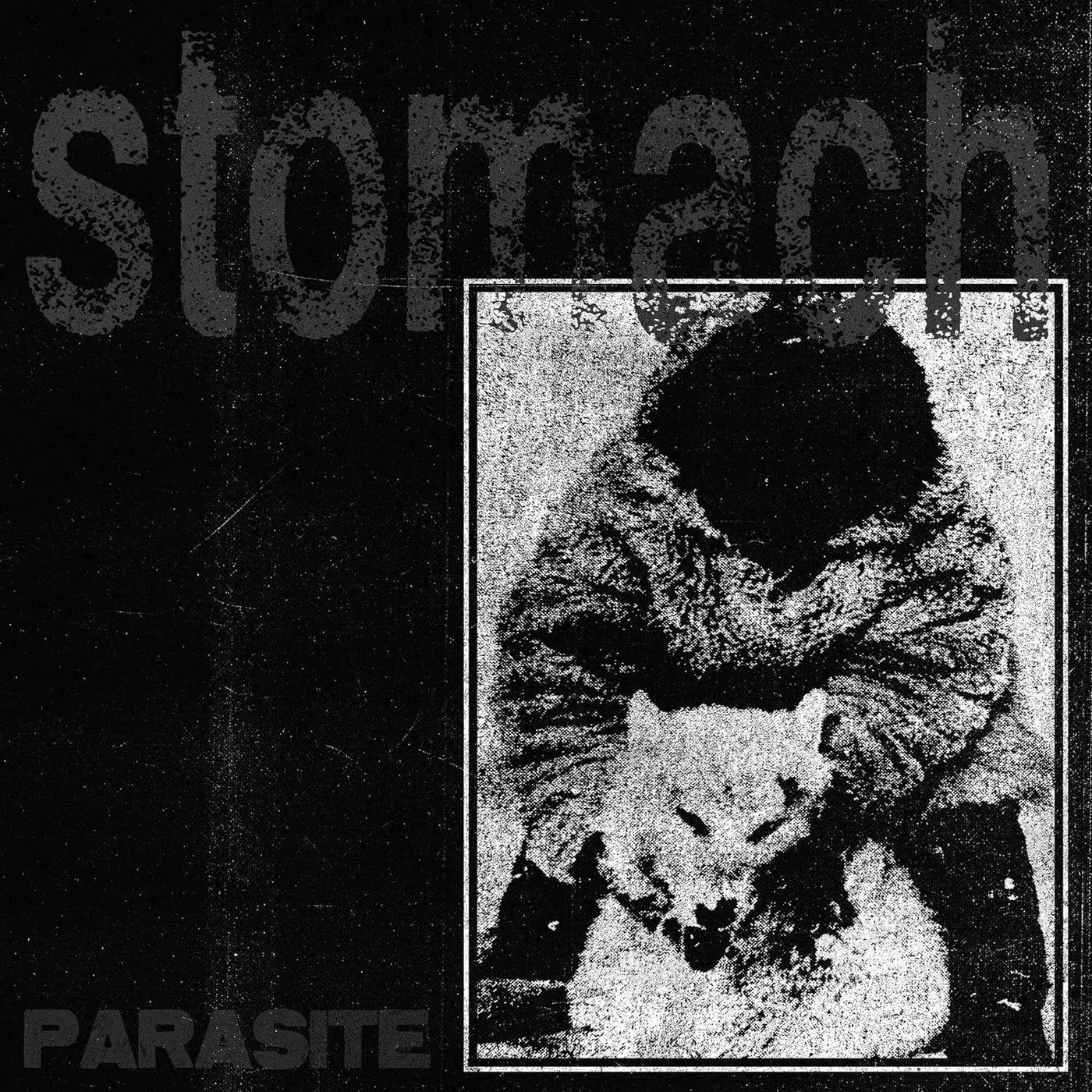STOMACH Parasite Vinyl Record