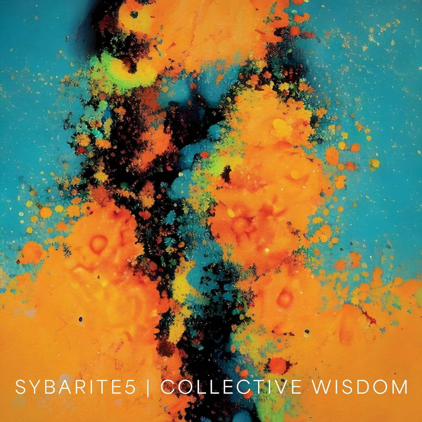 Sybarite5 Collective Wisdom Vinyl Record