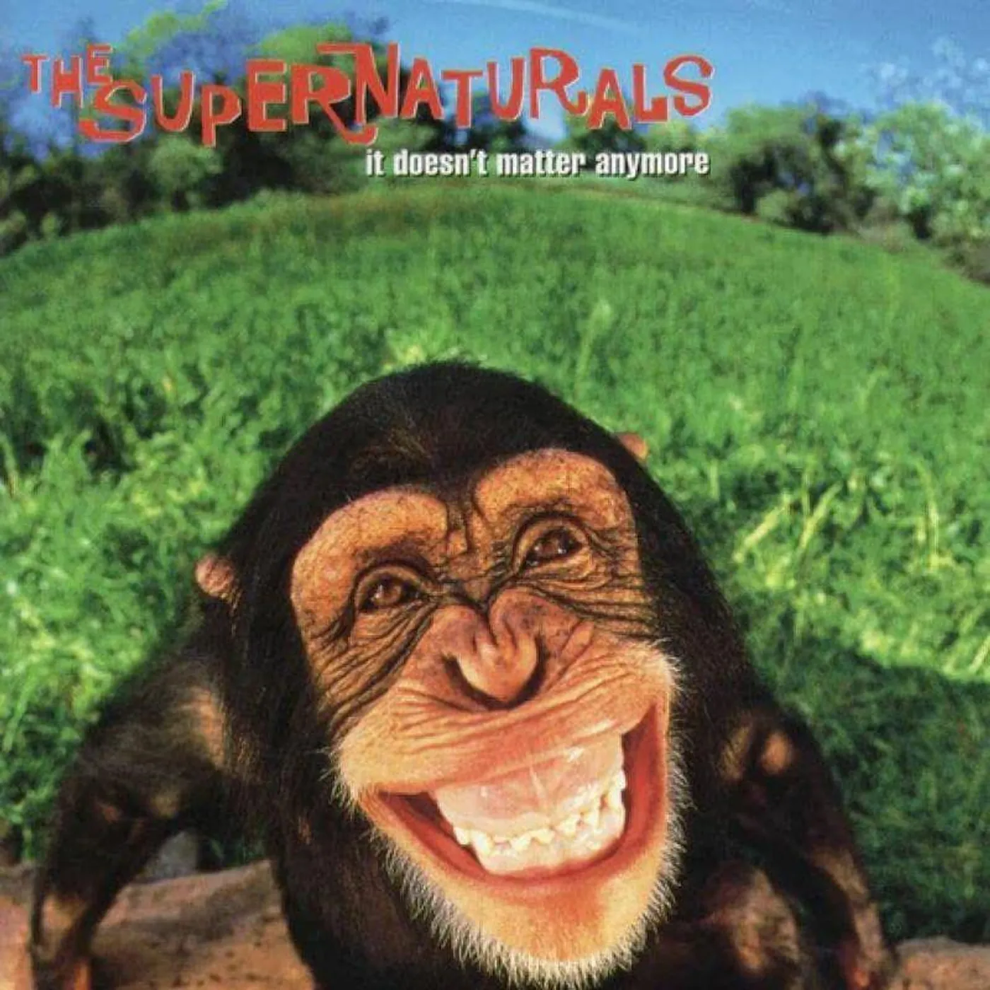 The Supernaturals IT DOESN'T MATTER ANYMORE Vinyl Record