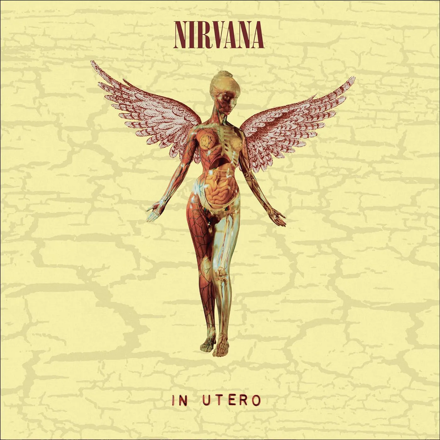 Nirvana In Utero (30th Anniversary) Vinyl Record