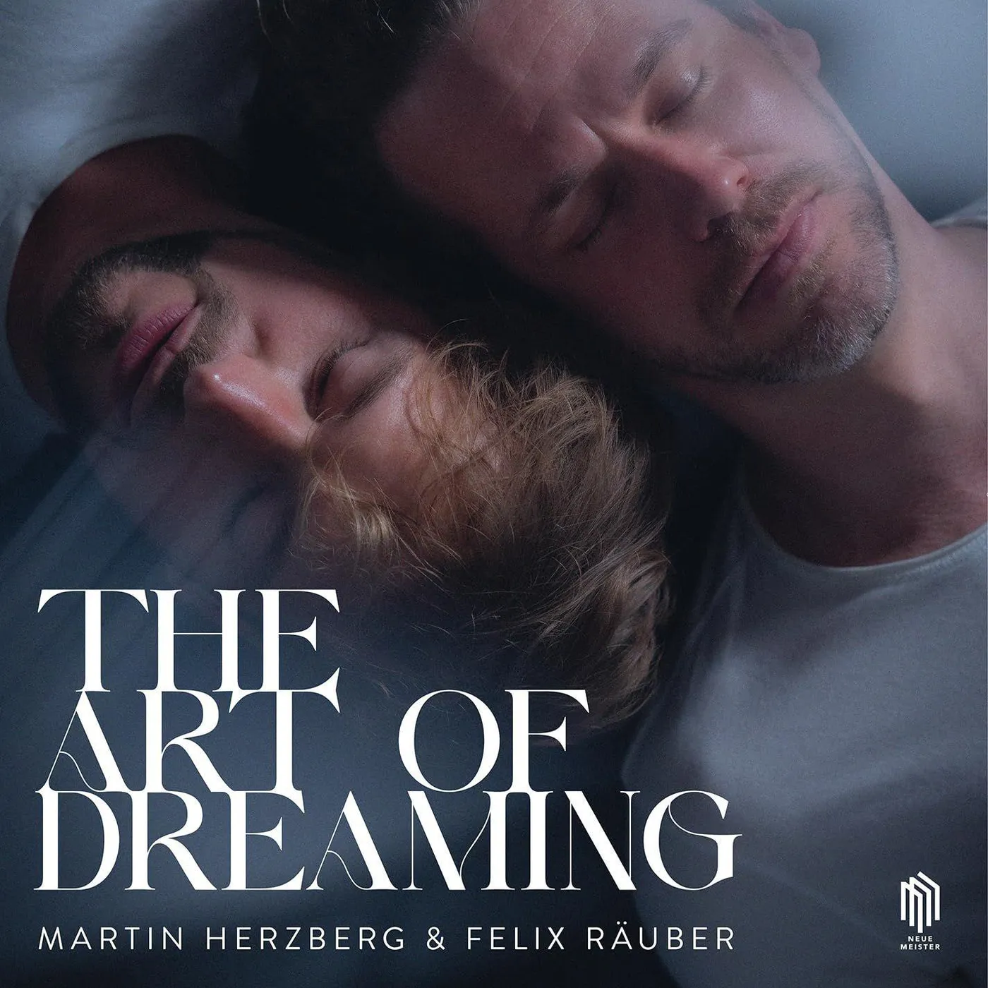 Martin Herzberg & Felix Rauber: The Art Of Dreaming Vinyl Record