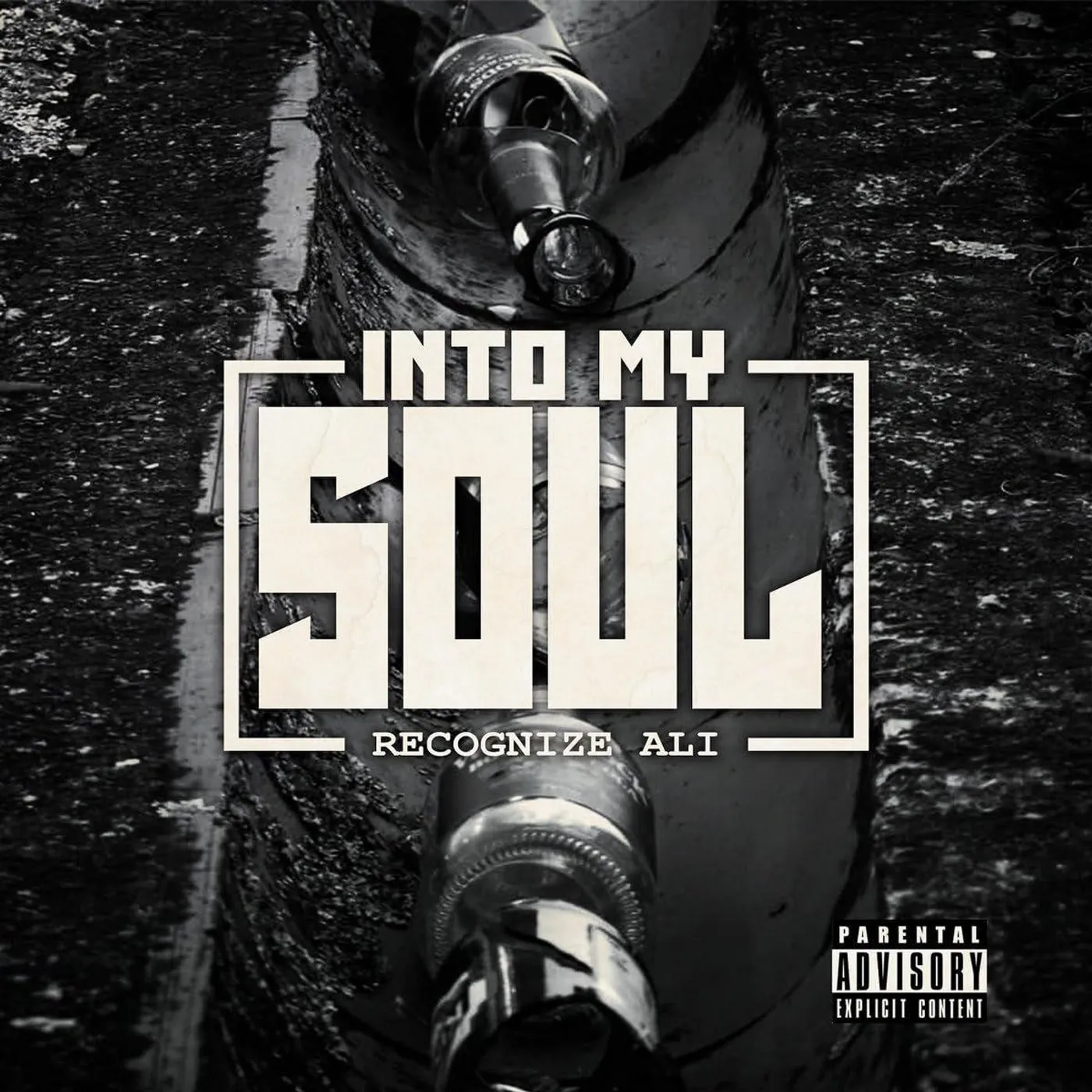 Recognize Ali Into My Soul Vinyl Record