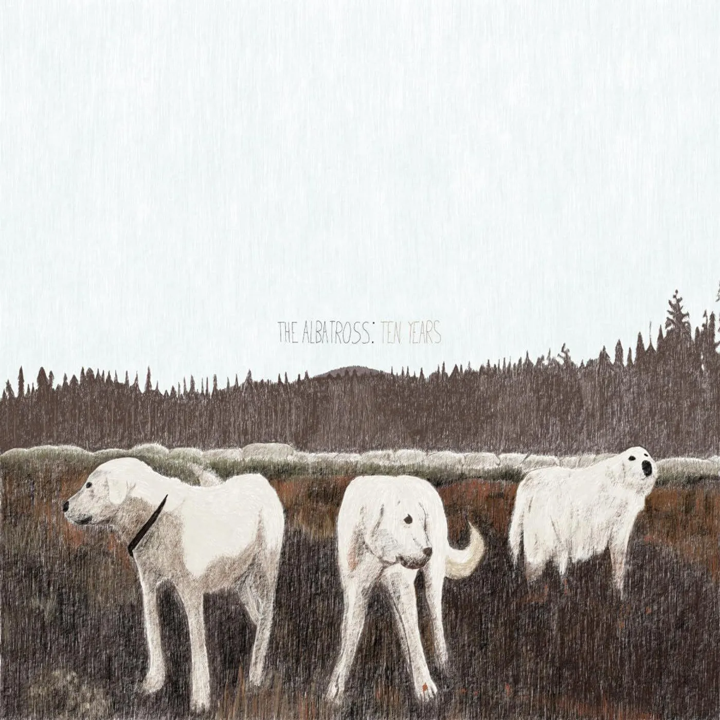 Foxing Albatross: Ten Years (Brown) Vinyl Record