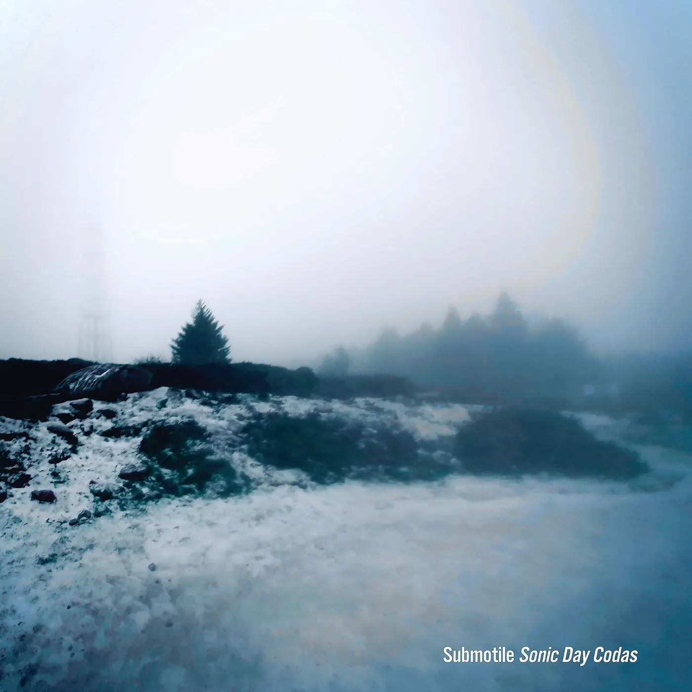 Submotile Sonic Day Codas Vinyl Record