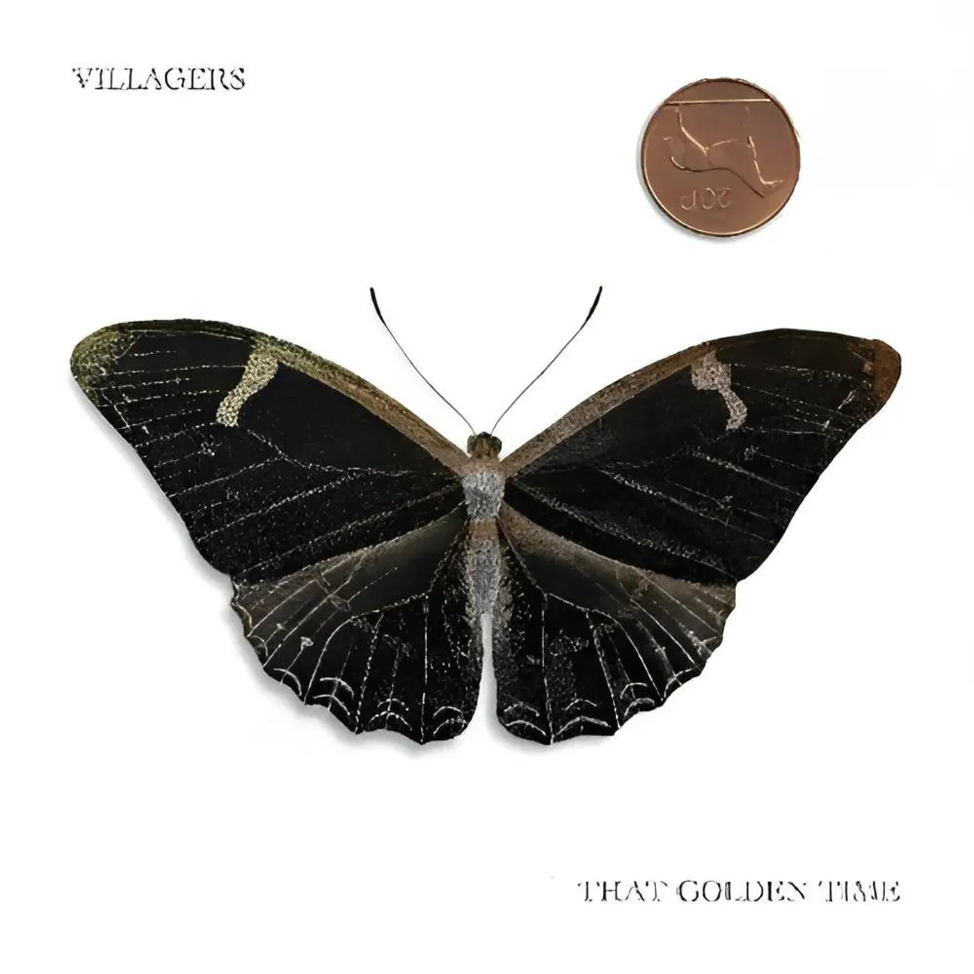 Villagers That Golden Time Vinyl Record