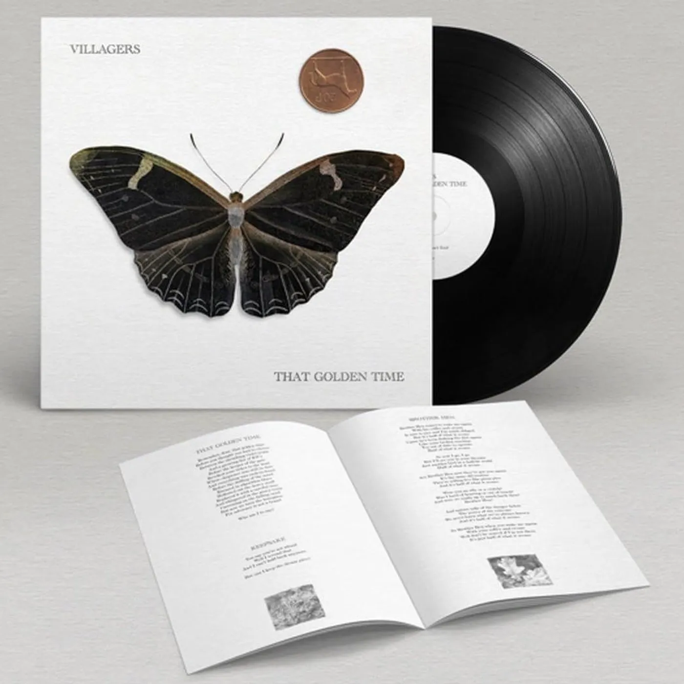 Villagers That Golden Time Vinyl Record