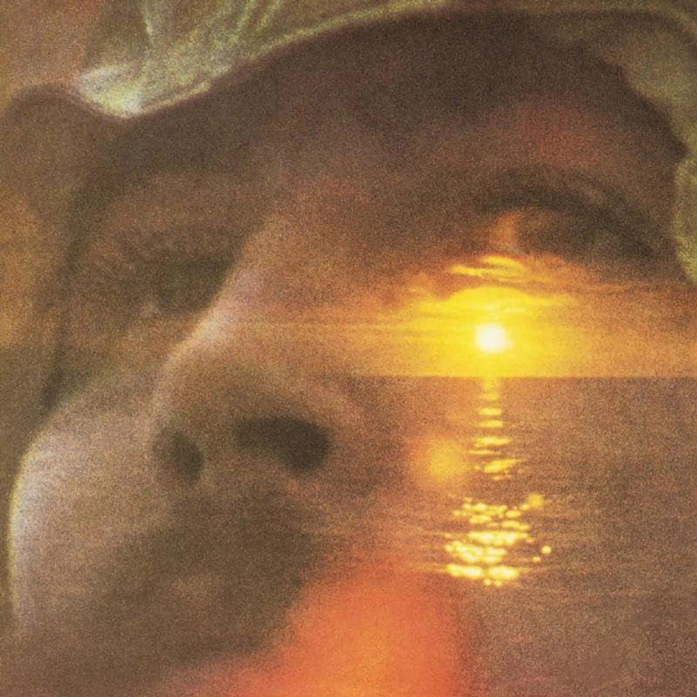 David Crosby If I Could Only Remember My Name (2LP/180G/45RPM)  Vinyl Record