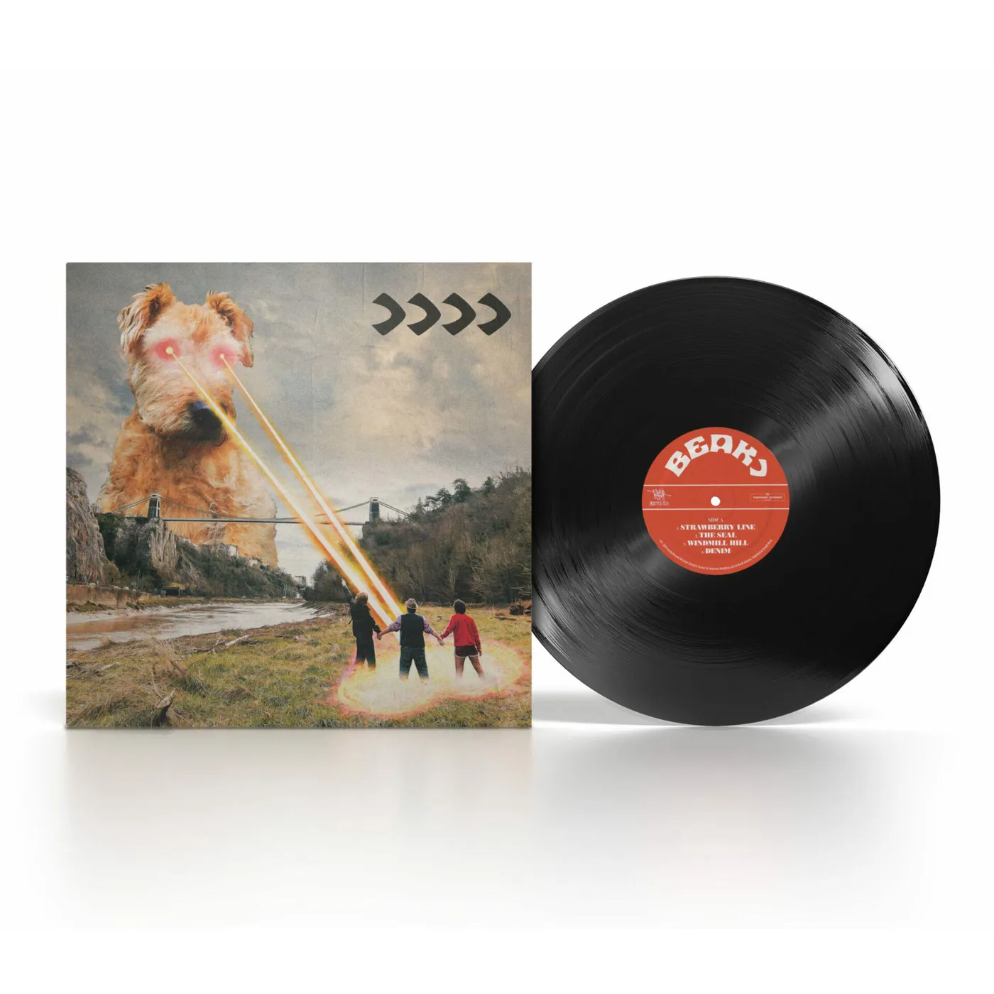 Beak> >>>> Vinyl Record
