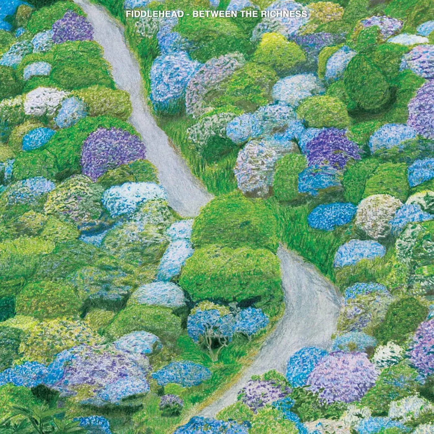 Fiddlehead BETWEEN THE RICHNESS (VIOLET VINYL) Vinyl Record