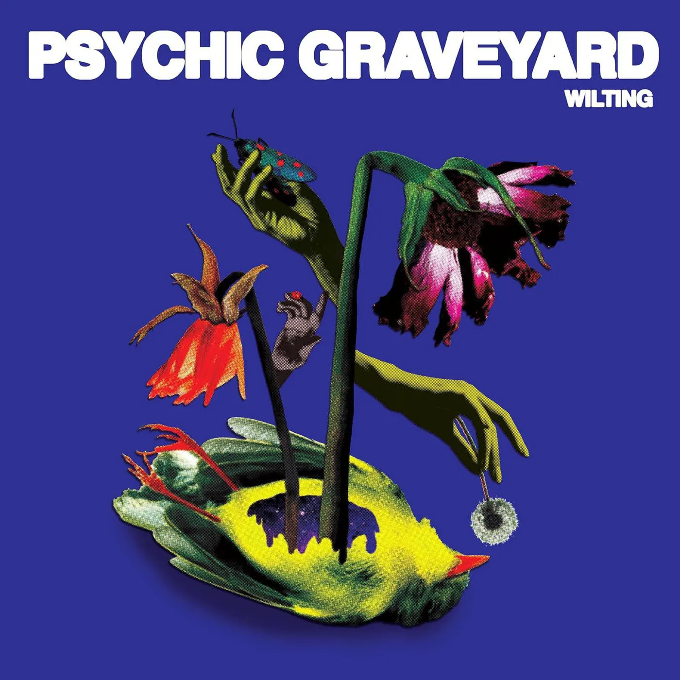 Psychic Graveyard Wilting Vinyl Record