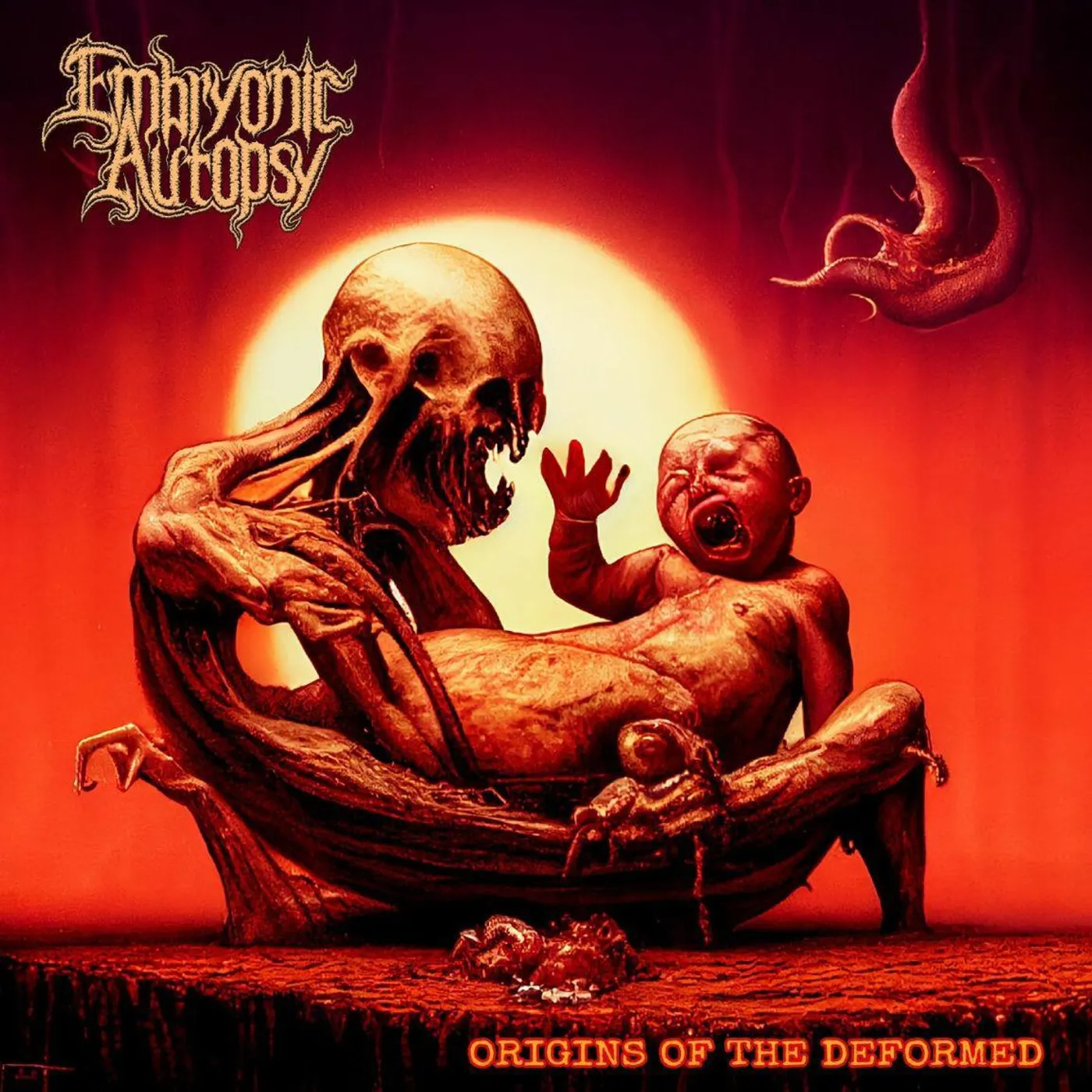 Embryonic Autopsy Origins Of The Deformed Vinyl Record